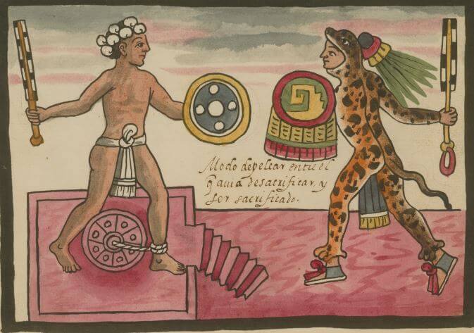 Guerreros Aztecas: Rangos y Organización Militar: Jaguar, Águila, Rapado