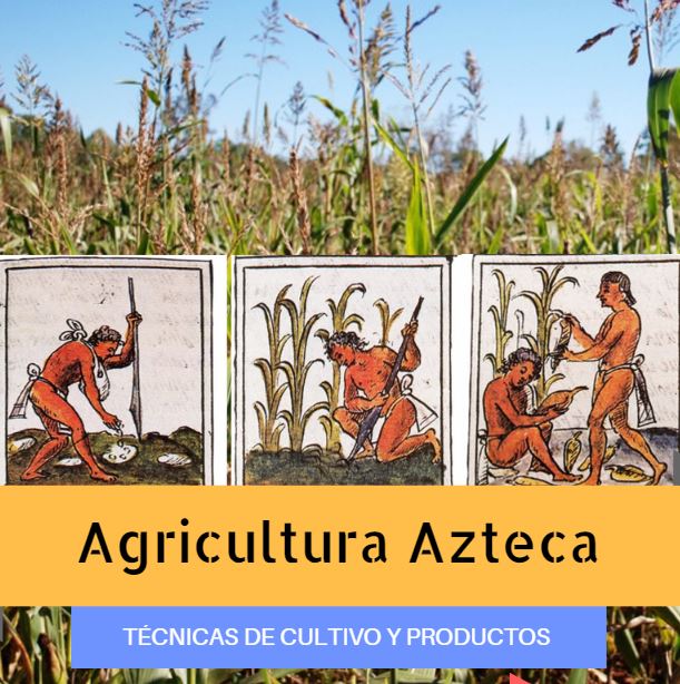 Agricultura de los Aztecas