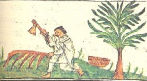 Medicina azteca antigua